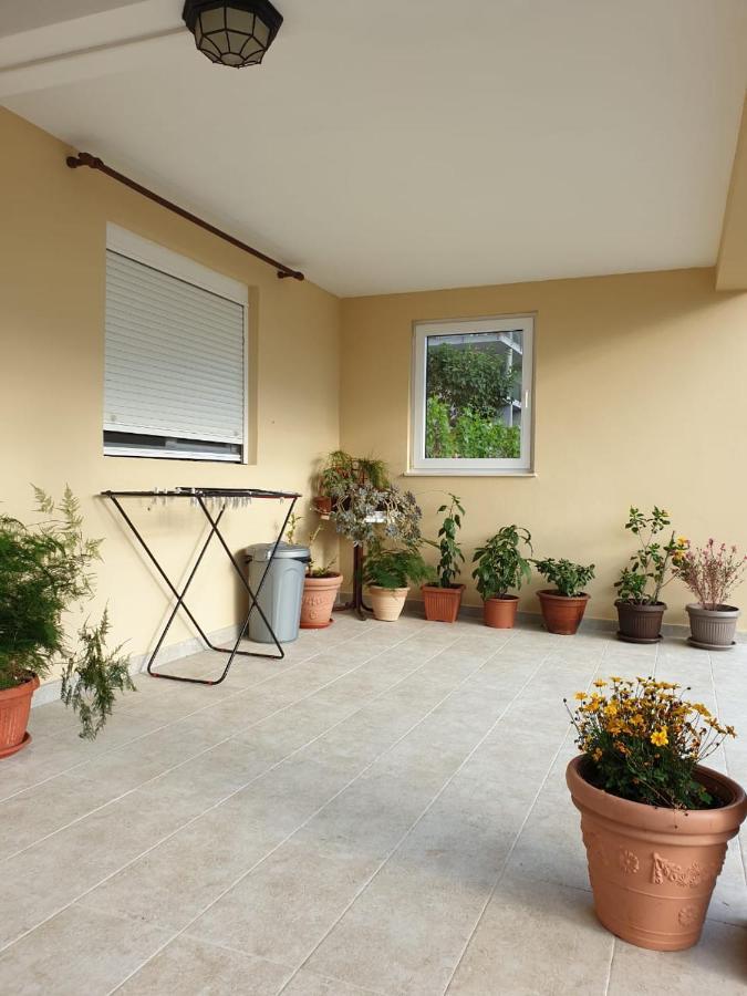 Apartment Jelena Kotor Exterior foto