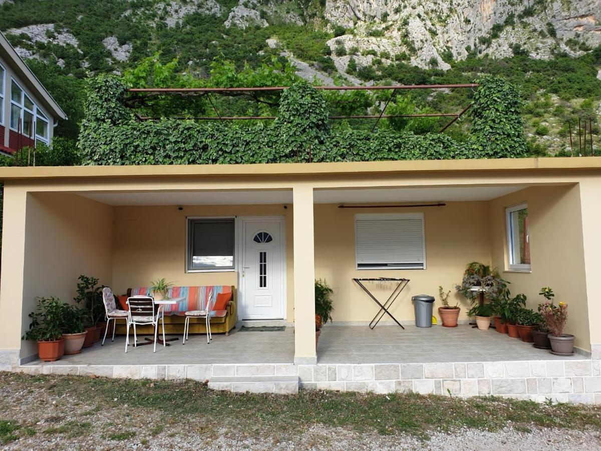 Apartment Jelena Kotor Exterior foto